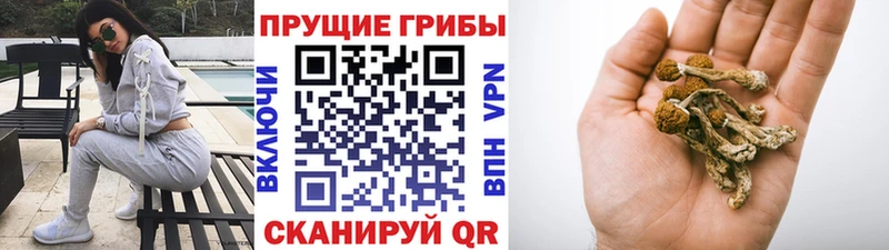 Галлюциногенные грибы ЛСД  Маркс 